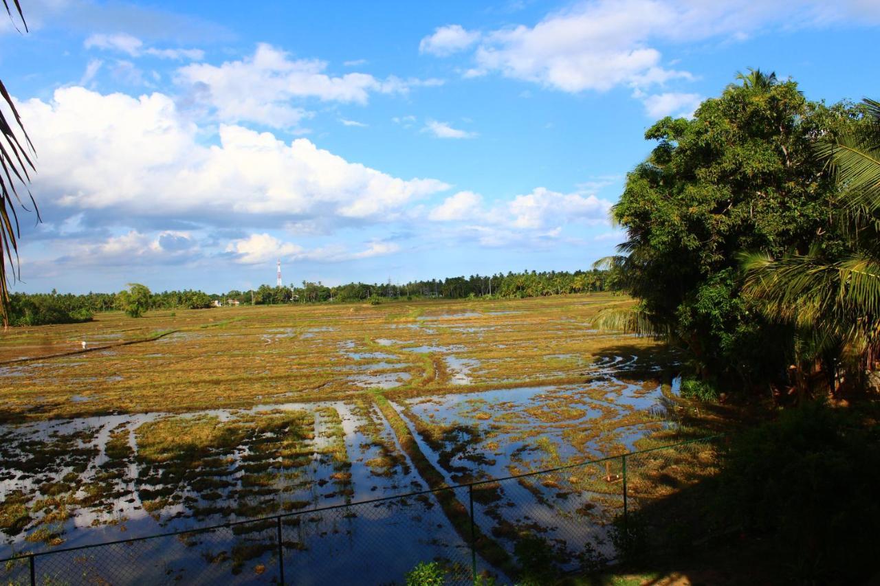 Lavender Home Yala Safari Tissamaharama Εξωτερικό φωτογραφία